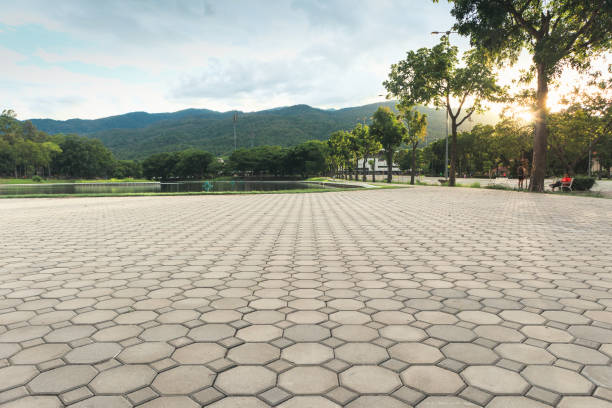 Best Driveway Paving Contractor  in Maplewood, MO
